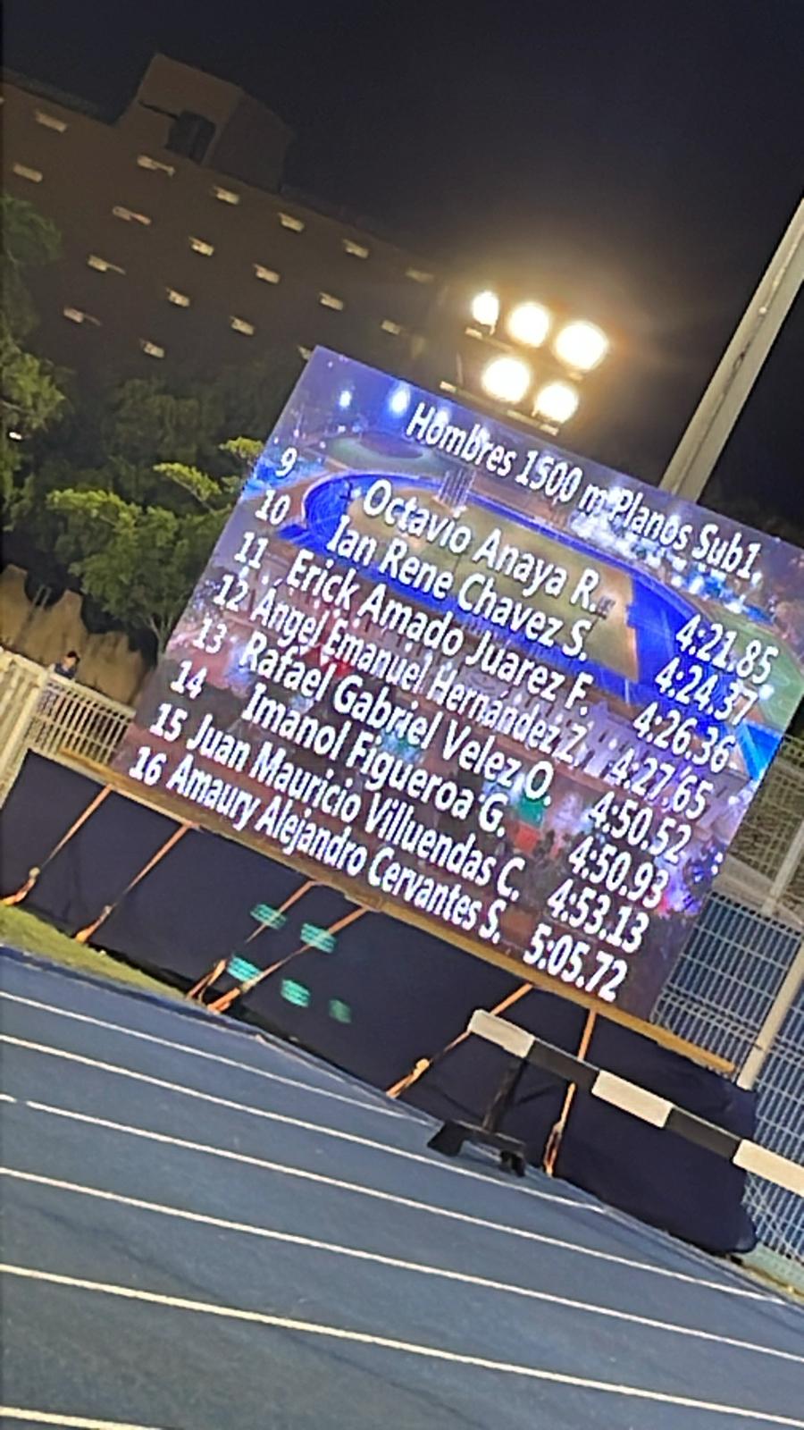 Competencia Profesional