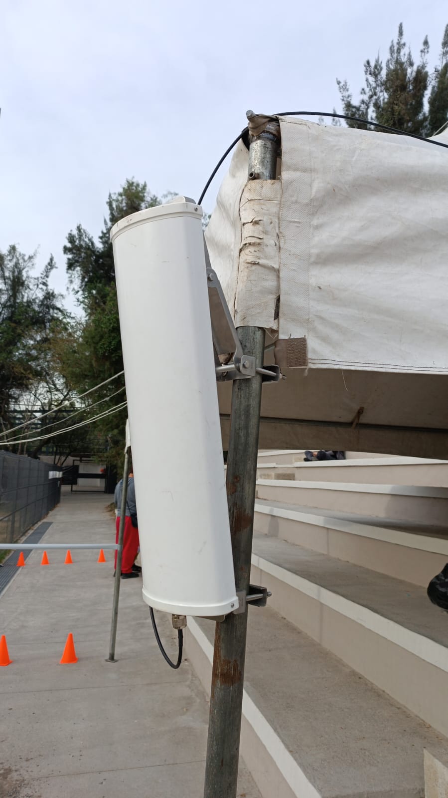 Carrera de Atletismo